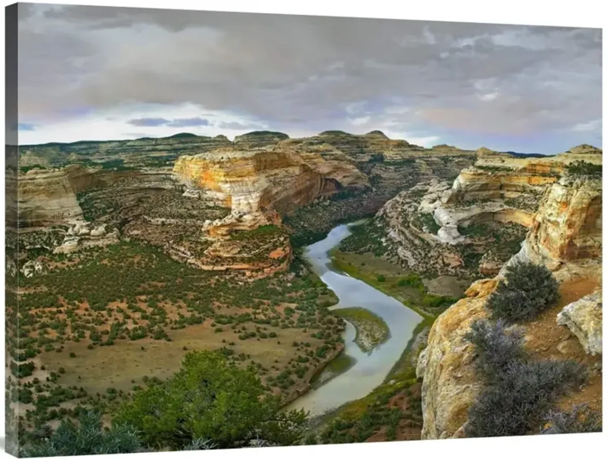 Yampa River flowing through canyons, Dinosaur National Monument, Colorado-Canvas Art-40x30