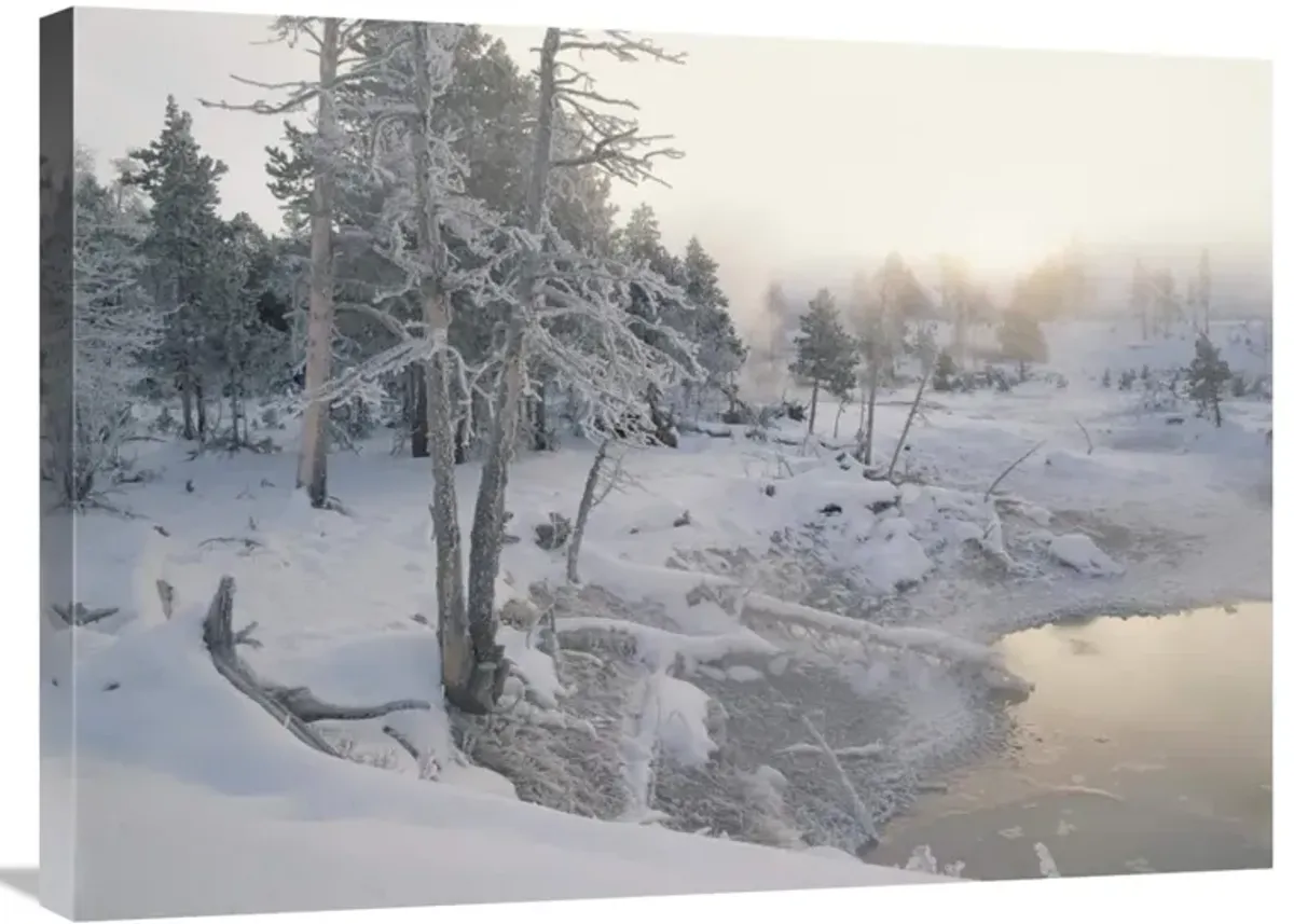 Upper Geyser Basin in winter, Yellowstone National Park, Wyoming-Canvas Art-32x24