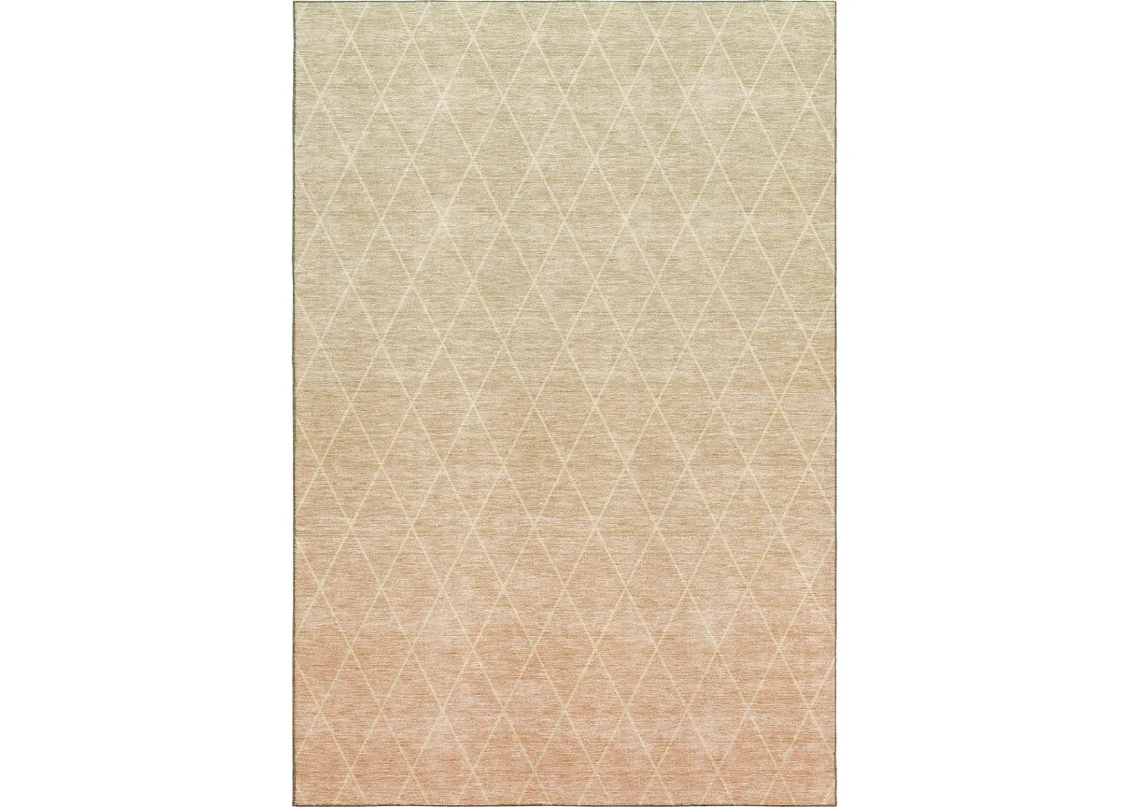 Lazio LZ2 Salmon 20" x 30" Rug