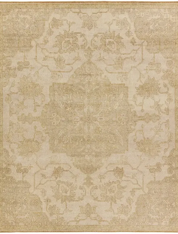 Onessa Danet Tan/Taupe 9' x 12' Rug