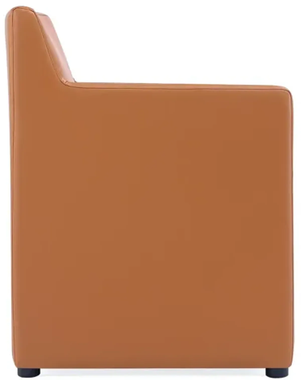 Anna Square Dining Arm Chairs in Brown (Set of 2)