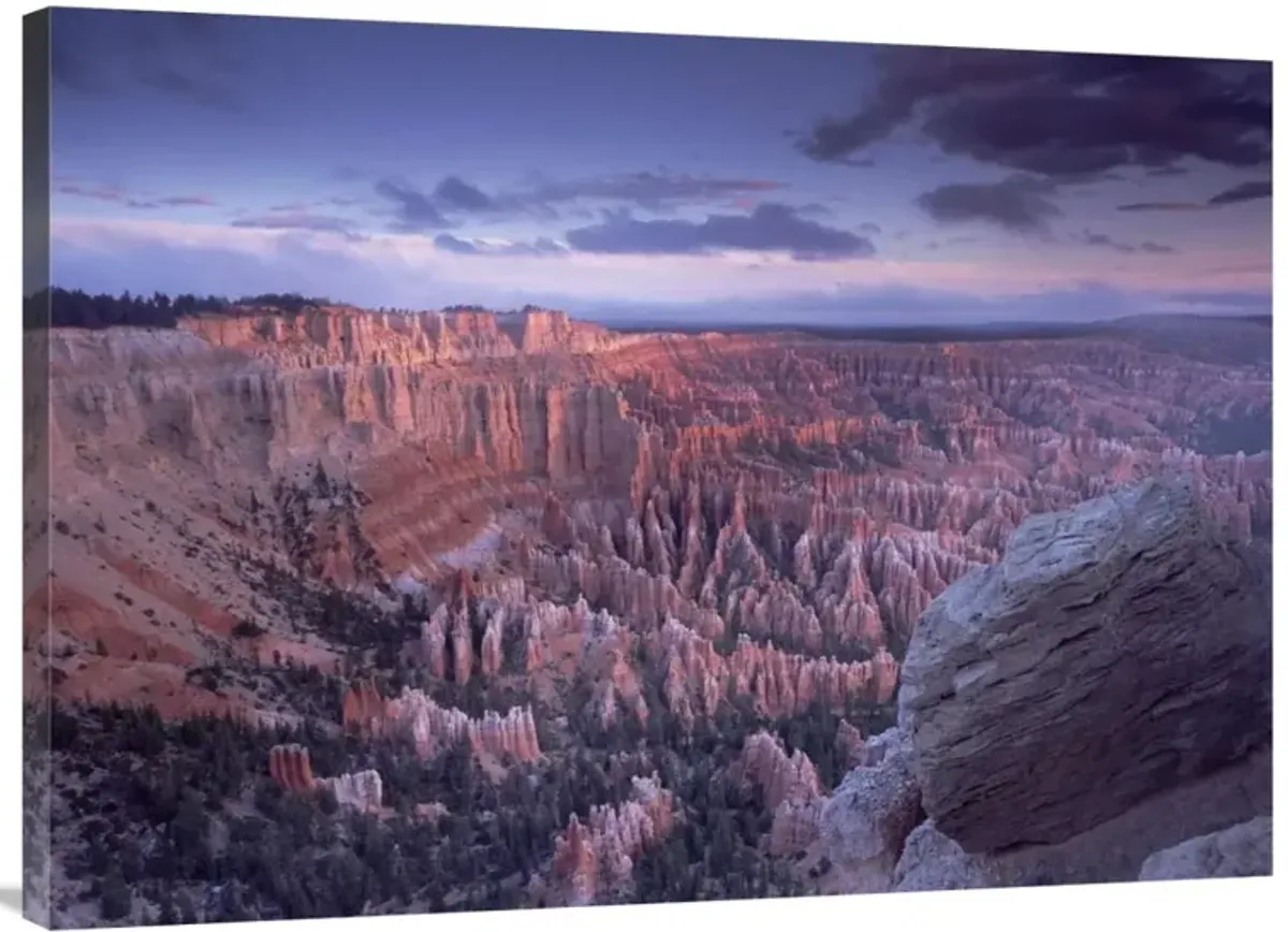 Amphitheater from Bryce Point, Bryce Canyon National Park, Utah-Canvas Art-40x30