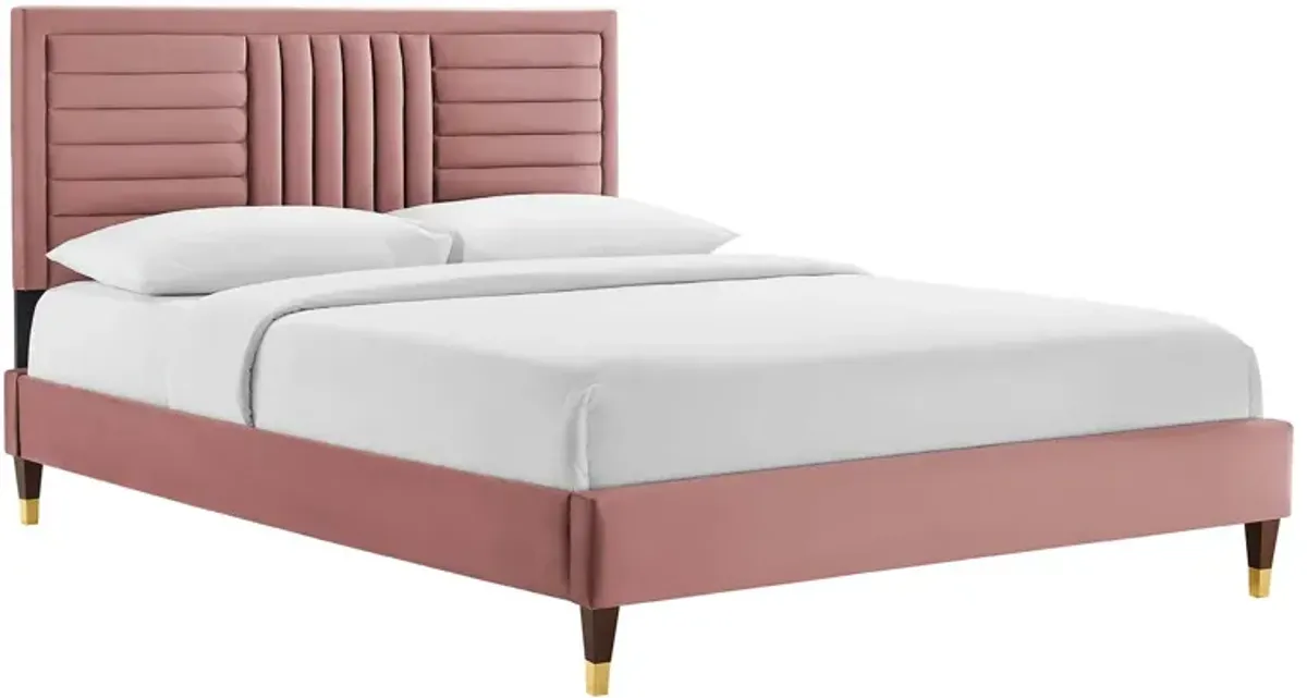 Modway - Sofia Channel Tufted Performance Velvet King Platform Bed