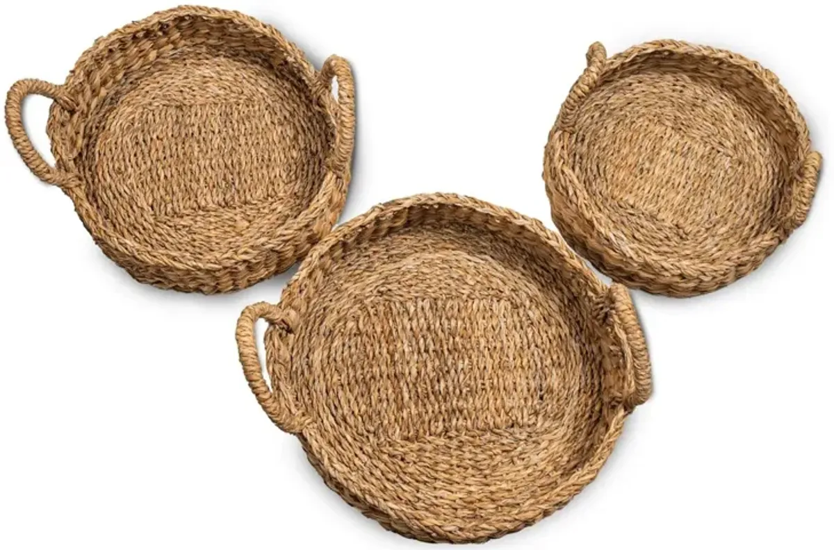 Round Seagrass Harvest Basket (Set of 3)