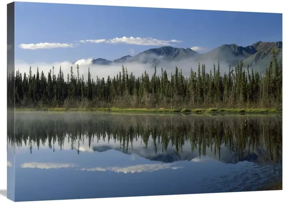 Boreal forest along lake edge, Nutzotin Mountains, Alaska-Canvas Art-32x24