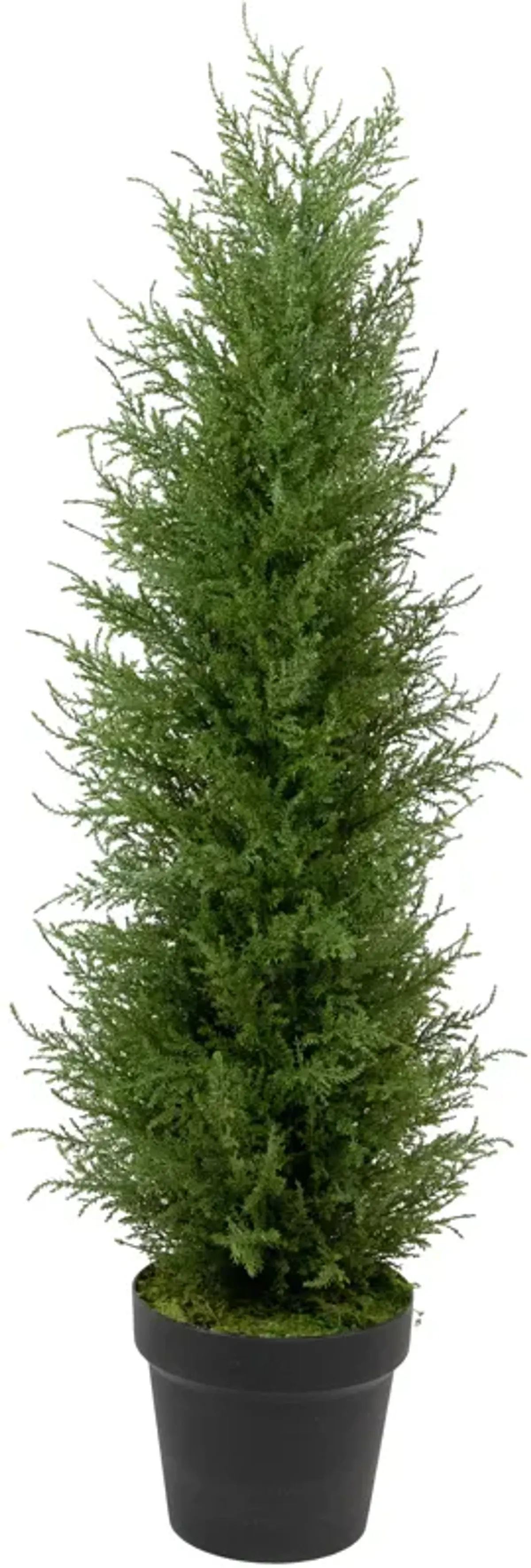 3' Artificial Cedar Pine Petite Arborvitae Tree in Round Pot  Unlit