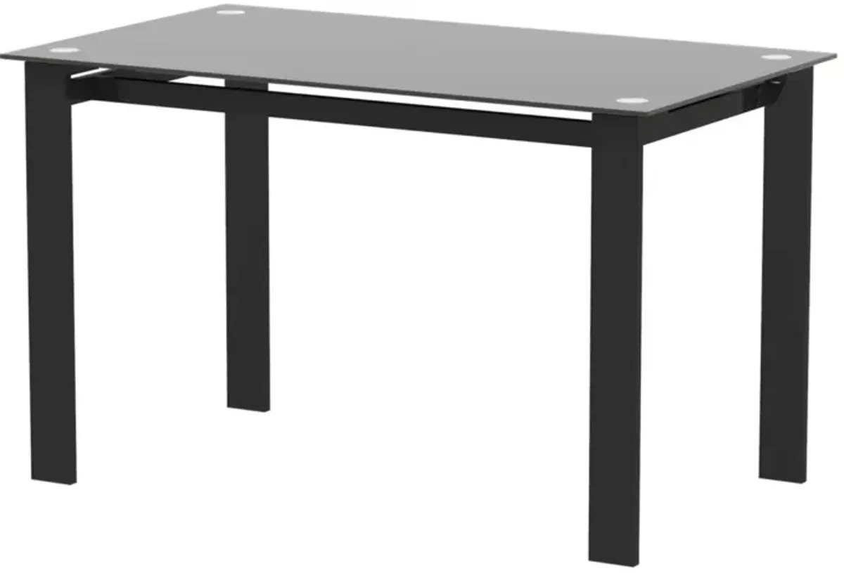 Modern Tempered Glass Dining Table, Simple Rectangular Metal Table Legs Living Room Kit