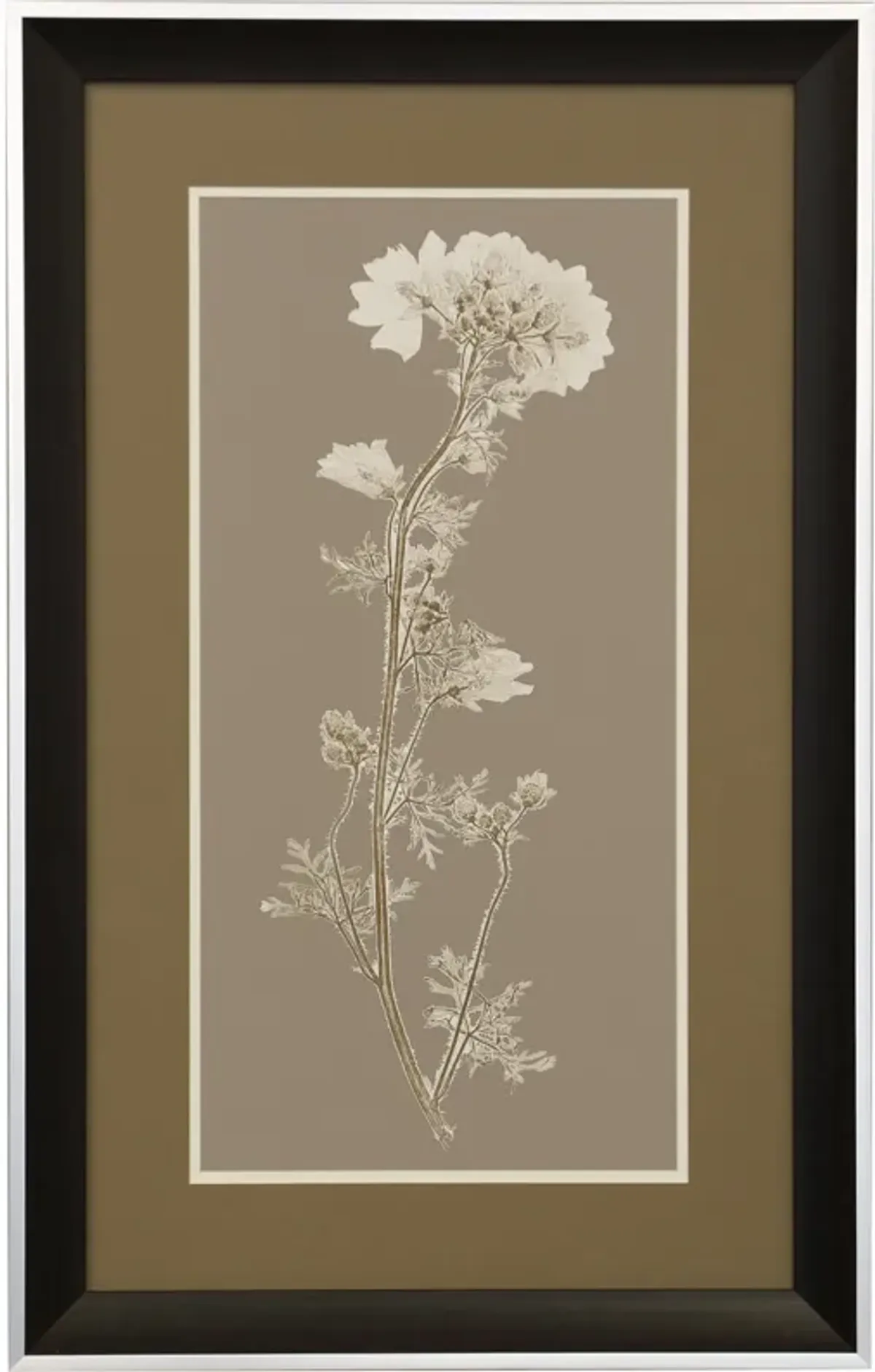 Taupe Natural Study I