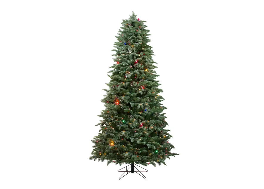 6.5' Pre-Lit Medium Frosted Dunton Spruce Artificial Christmas Tree - Multi-Color Lights