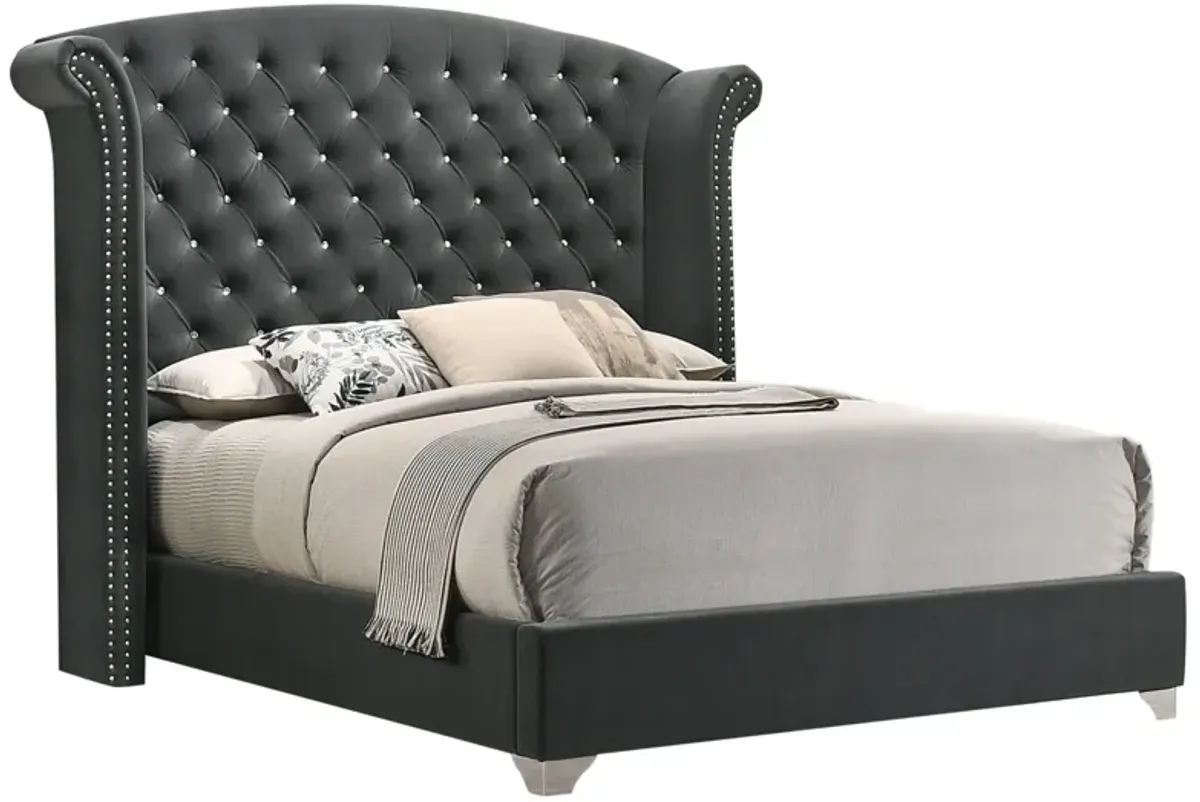 Giya Wingback Queen Bed, Tufted Headboard, Nailed Gray Velvet Upholstery - Benzara
