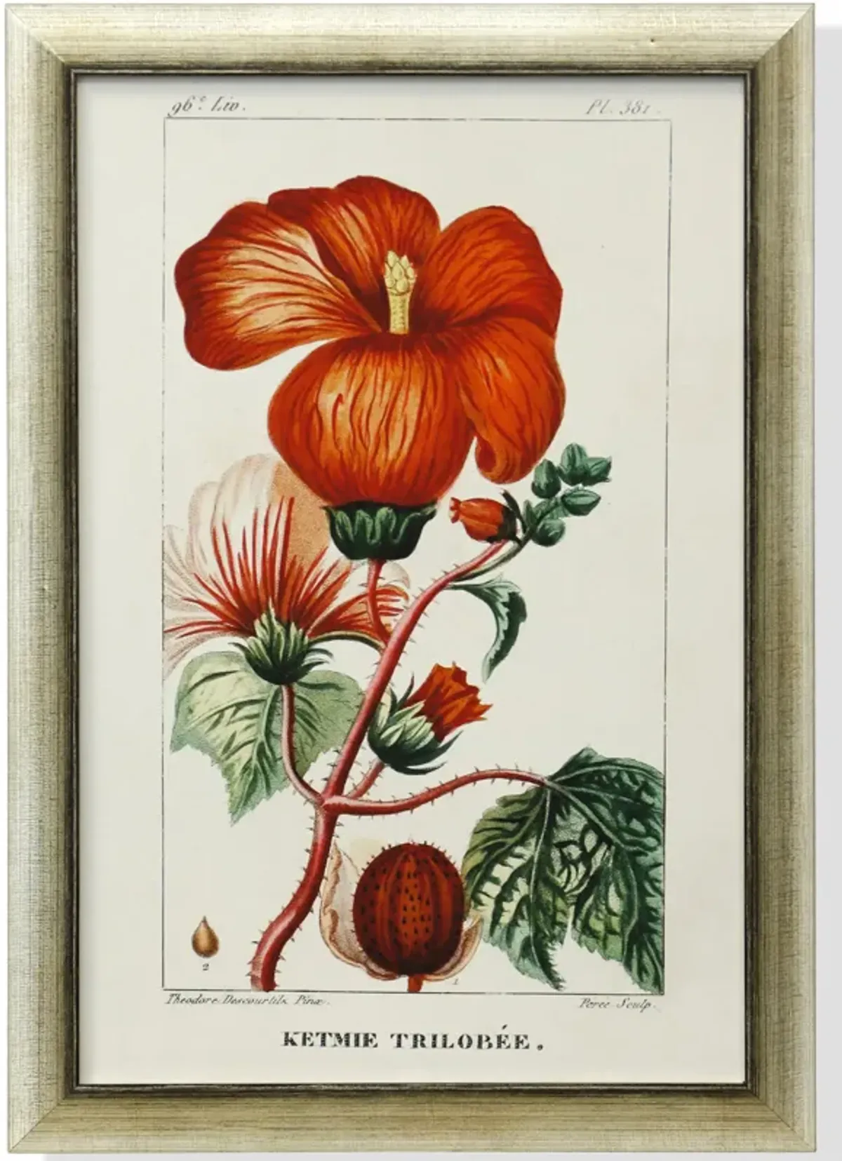 Framed Print Under Glass