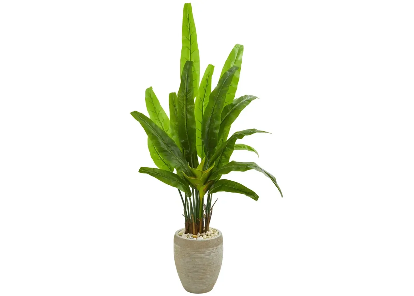 HomPlanti 64 Inches Travelers Palm Artificial Tree in Sand Colored Planter