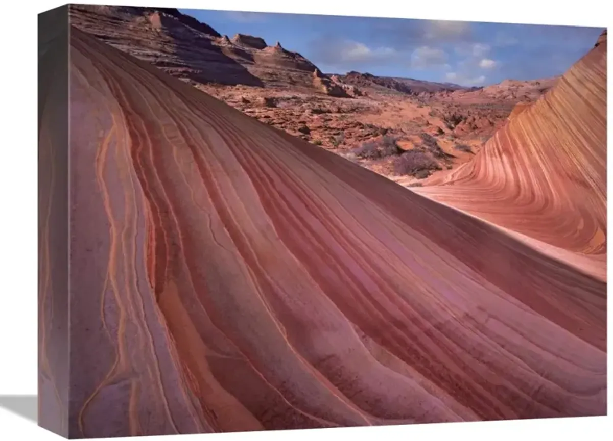 Detail of The Wave, a Navajo sandstone formation in Paria Canyon-Vermilion Cliffs Wilderness, Arizona-Canvas Art-16x12