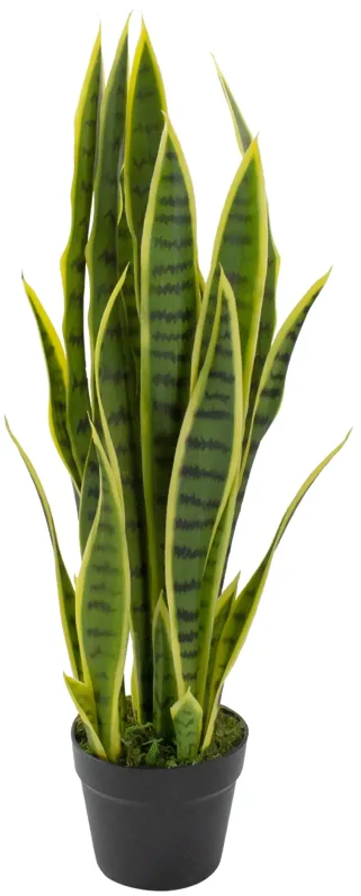 29" Artificial Potted Green Striped Leaf Dracaena Snake Plant