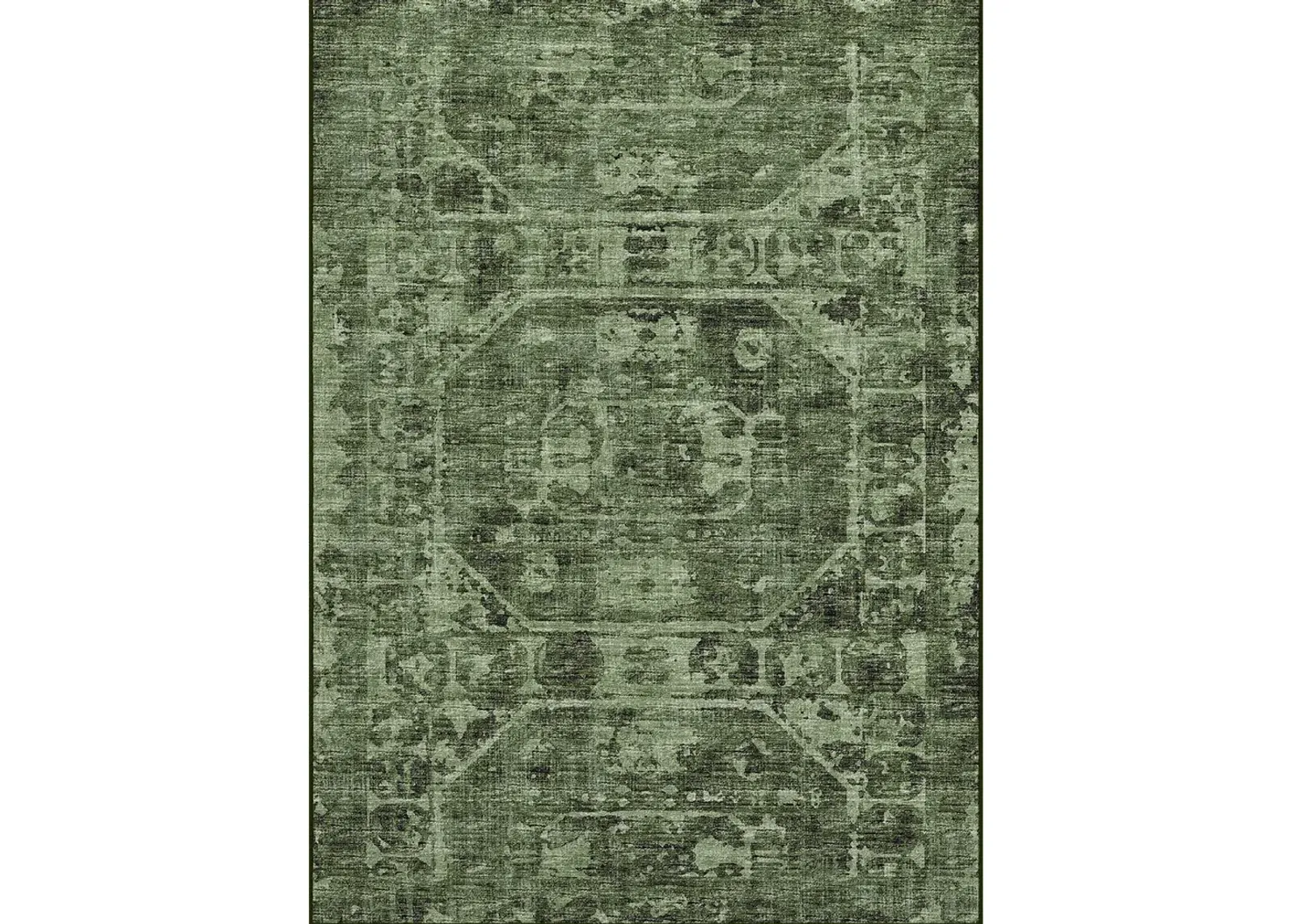 Aberdeen AB2 Cactus 8' x 10' Rug