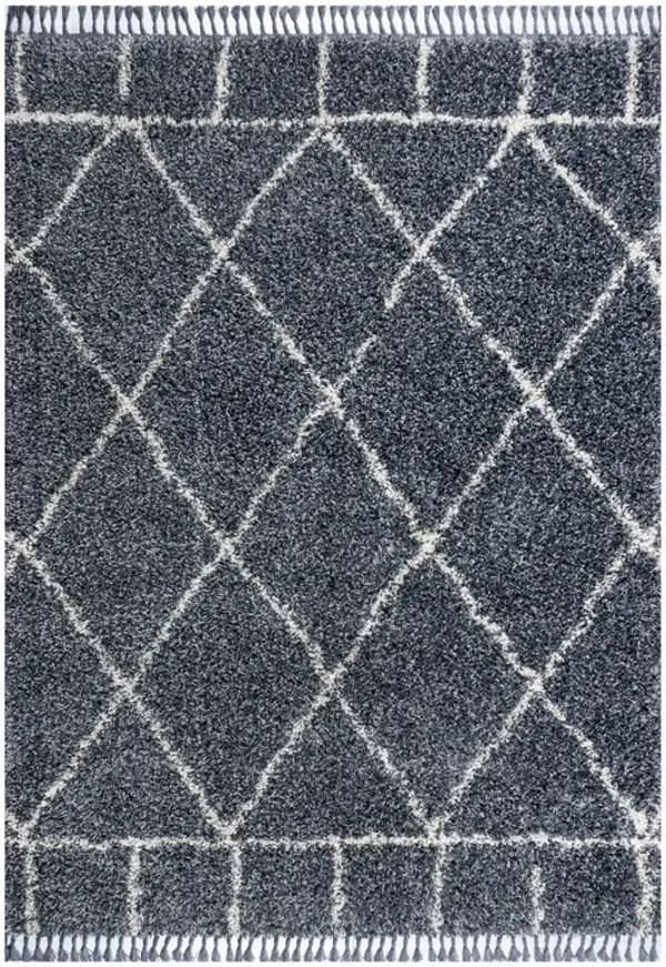 Mercer Shag Plush Tassel Moroccan Geometric Trellis Area Rug