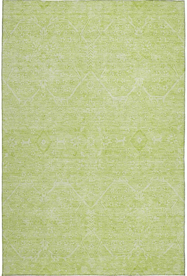 Solace SL12 Lime 30" x 46" Rug