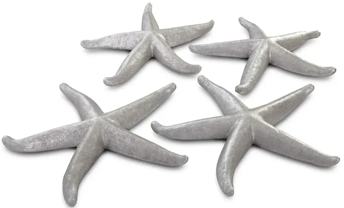 Starfish Large Set of 4