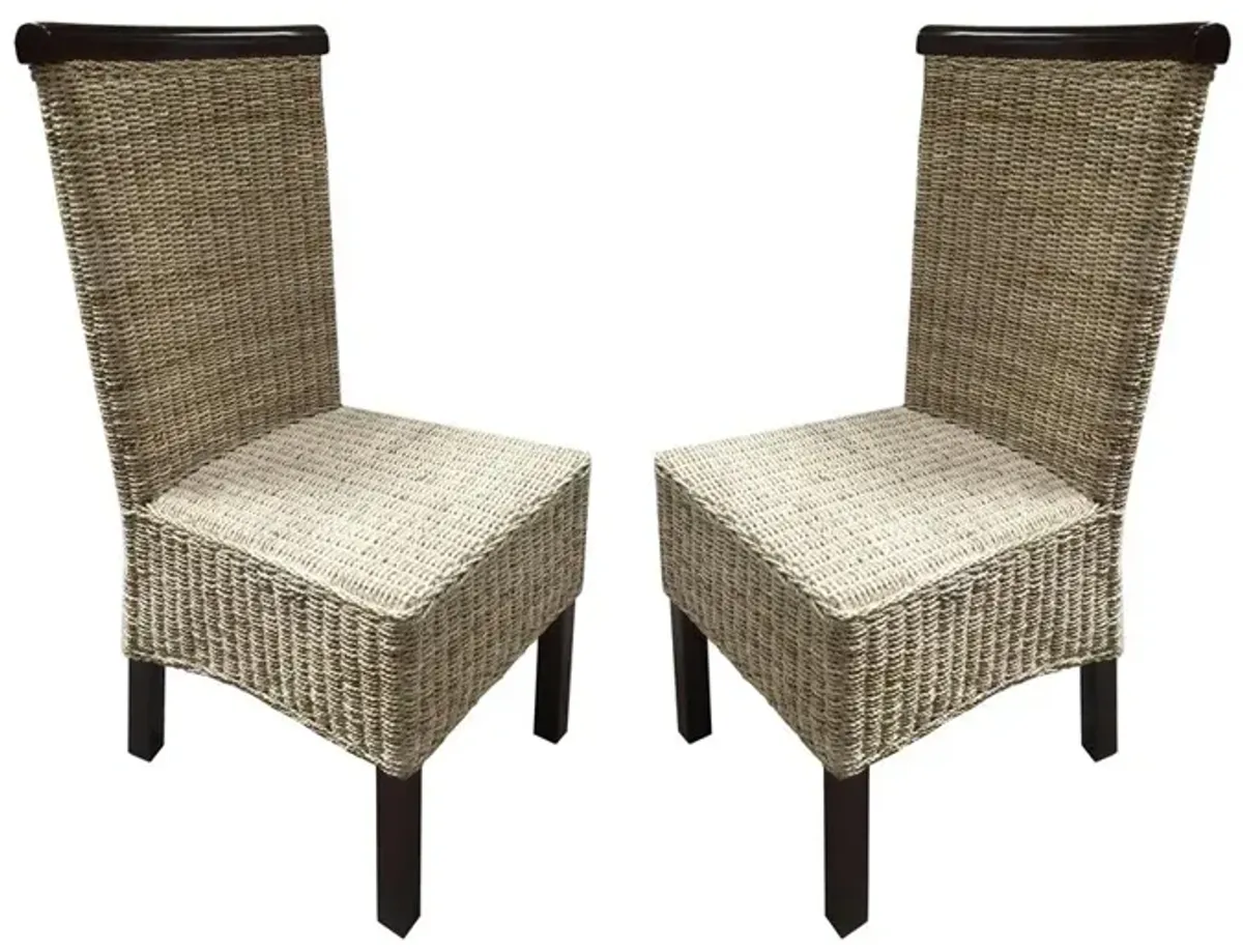 Abaca & Wood Dining Chair-(2pc Set)