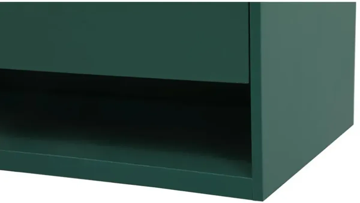 Elegant Kitchen and Bath 40 inch Single bathroom vanity in green