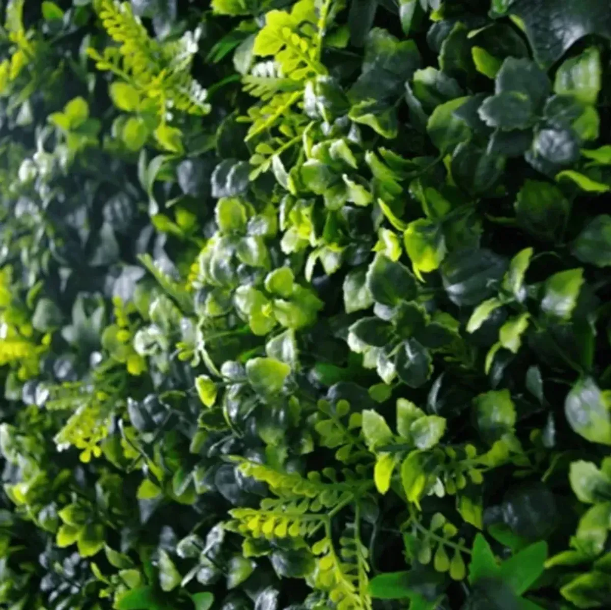 Premium Mixed Ivy Spring Sensation Artificial Green Wall 40" x 40" 11SQFT Commercial Grade UV Resistant