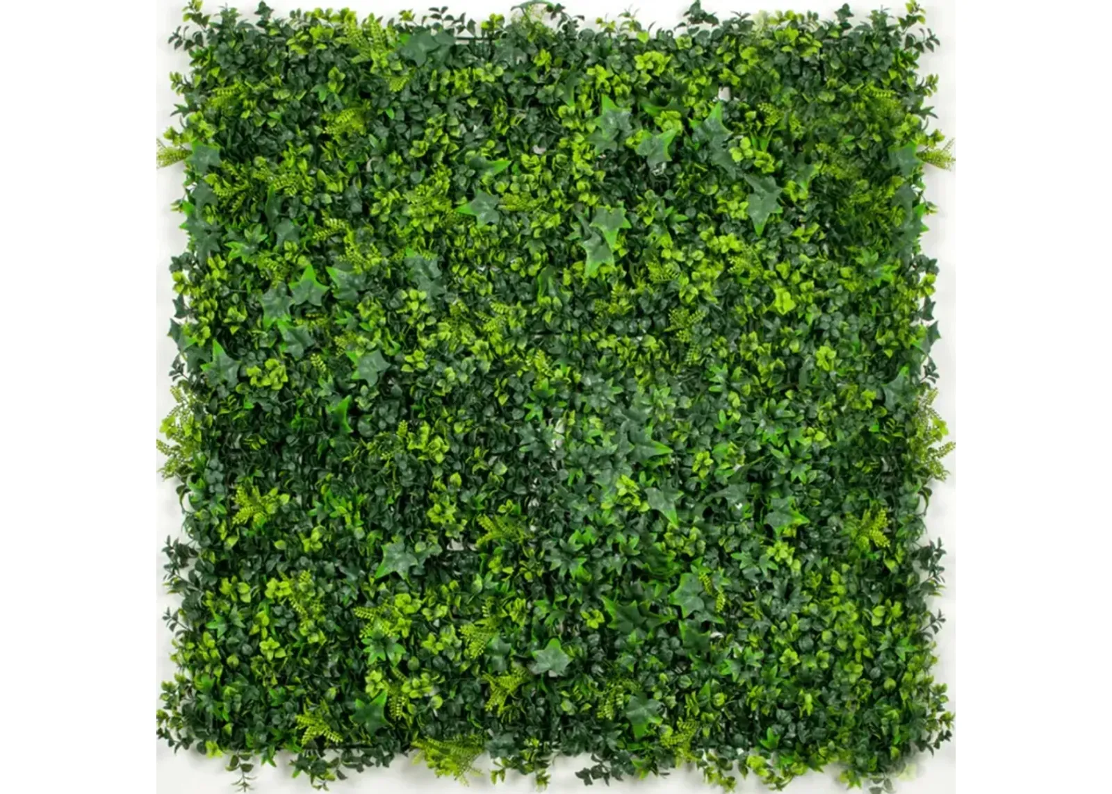 Premium Mixed Ivy Spring Sensation Artificial Green Wall 40" x 40" 11SQFT Commercial Grade UV Resistant