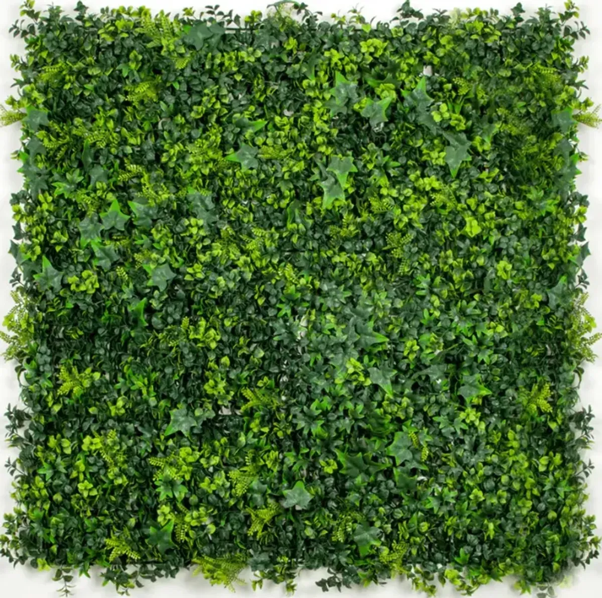 Premium Mixed Ivy Spring Sensation Artificial Green Wall 40" x 40" 11SQFT Commercial Grade UV Resistant