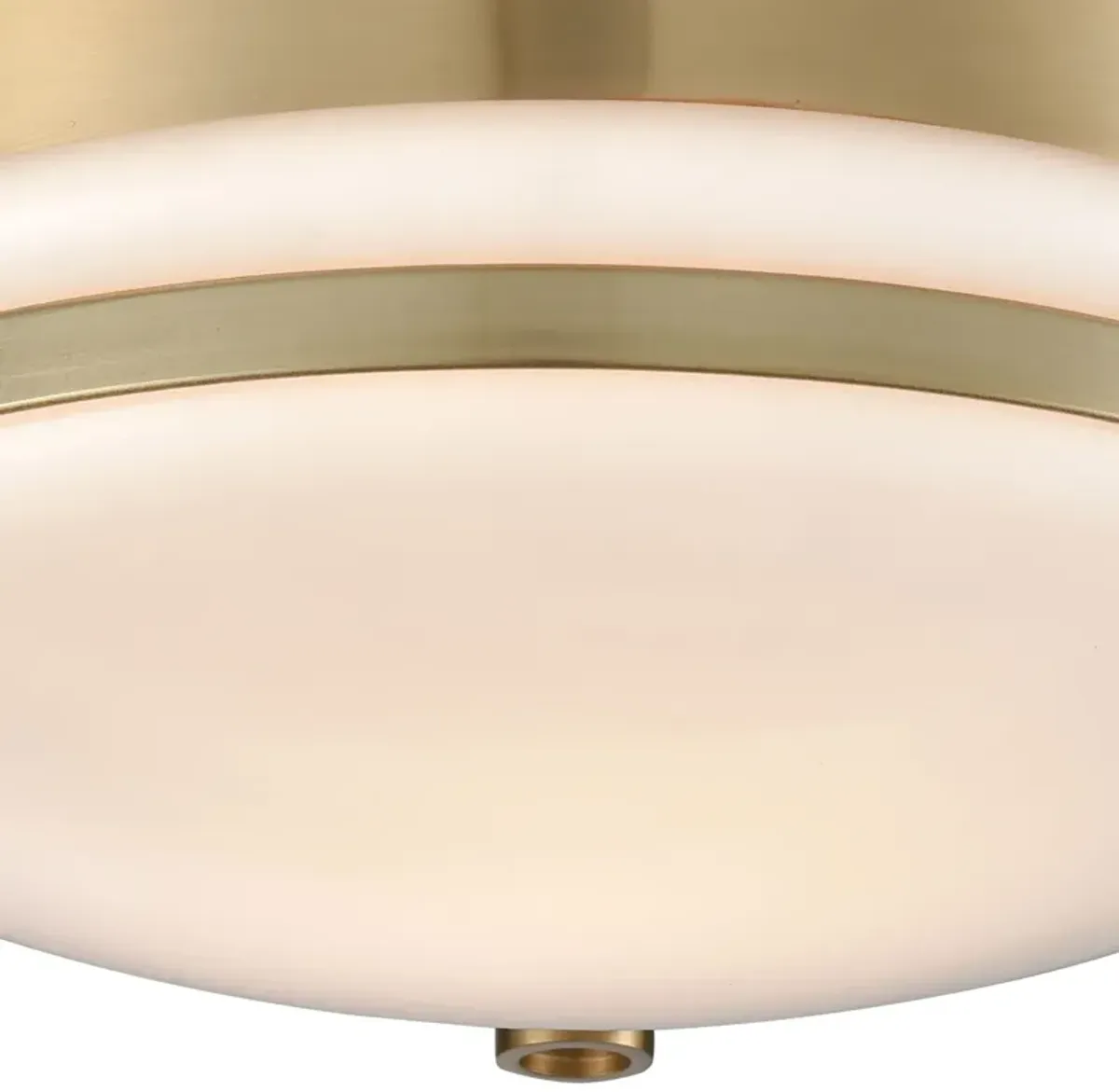 Riley 10'' Wide 1-Light Flush Mount