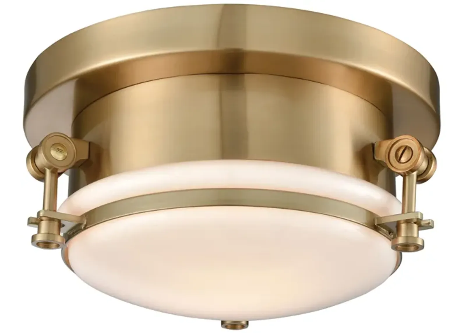 Riley 10'' Wide 1-Light Flush Mount