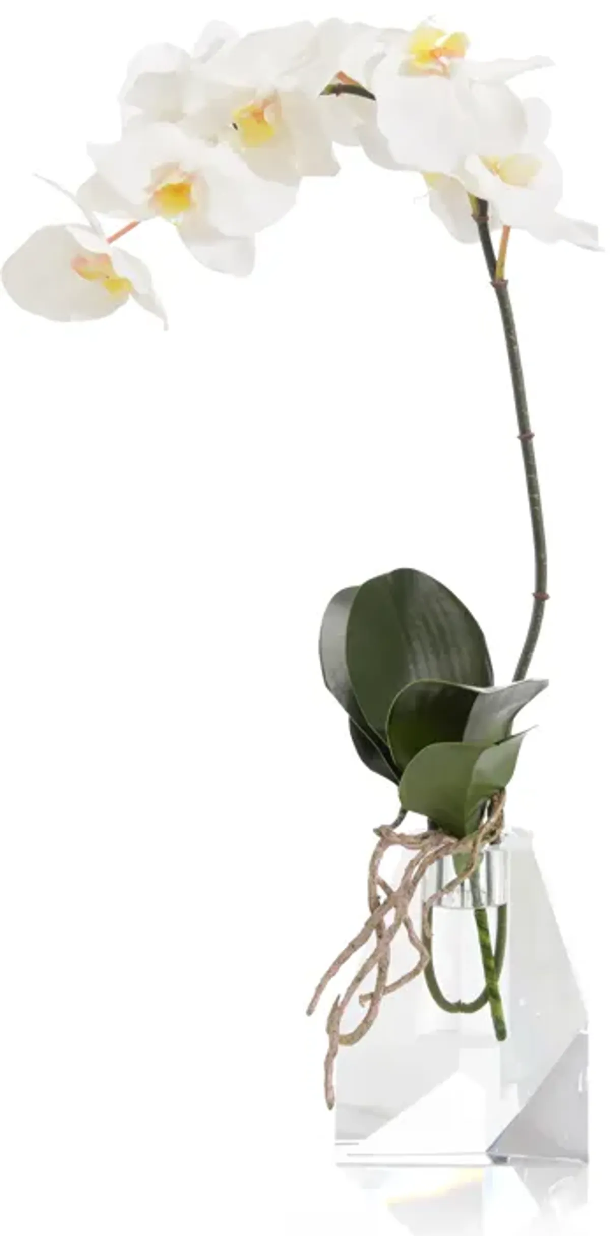 Rock Crystal Real Touch Orchid