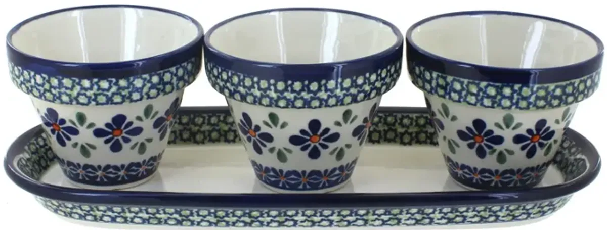 Blue Rose Polish Pottery Nature Flower Pots with Tray