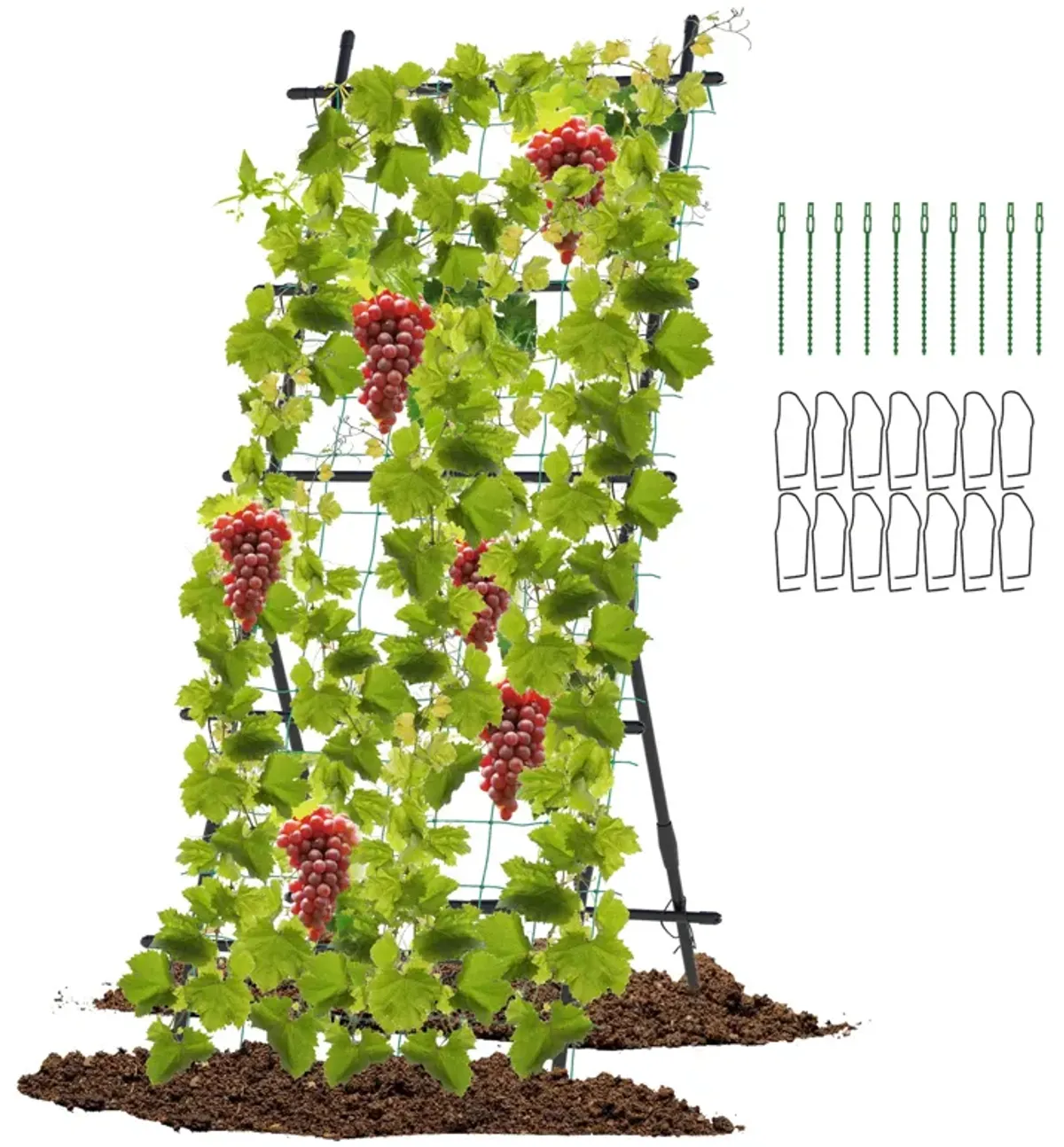 74 Inch Tall Garden Trellis for Flower Vine Vegetable Fruit Pea-Black