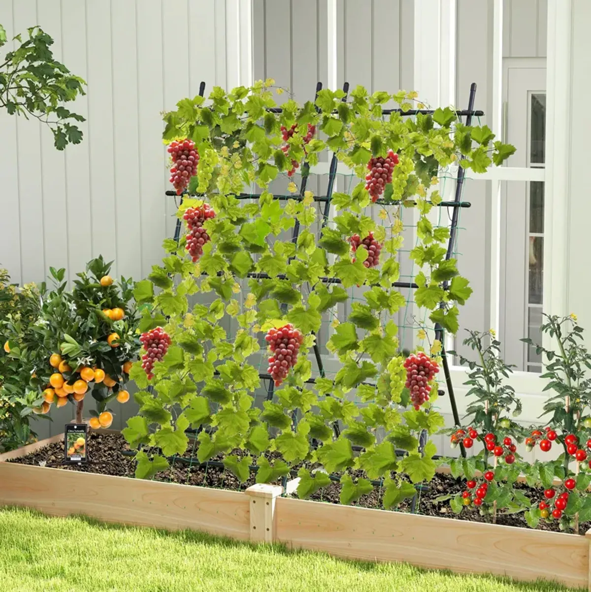 74 Inch Tall Garden Trellis for Flower Vine Vegetable Fruit Pea-Black