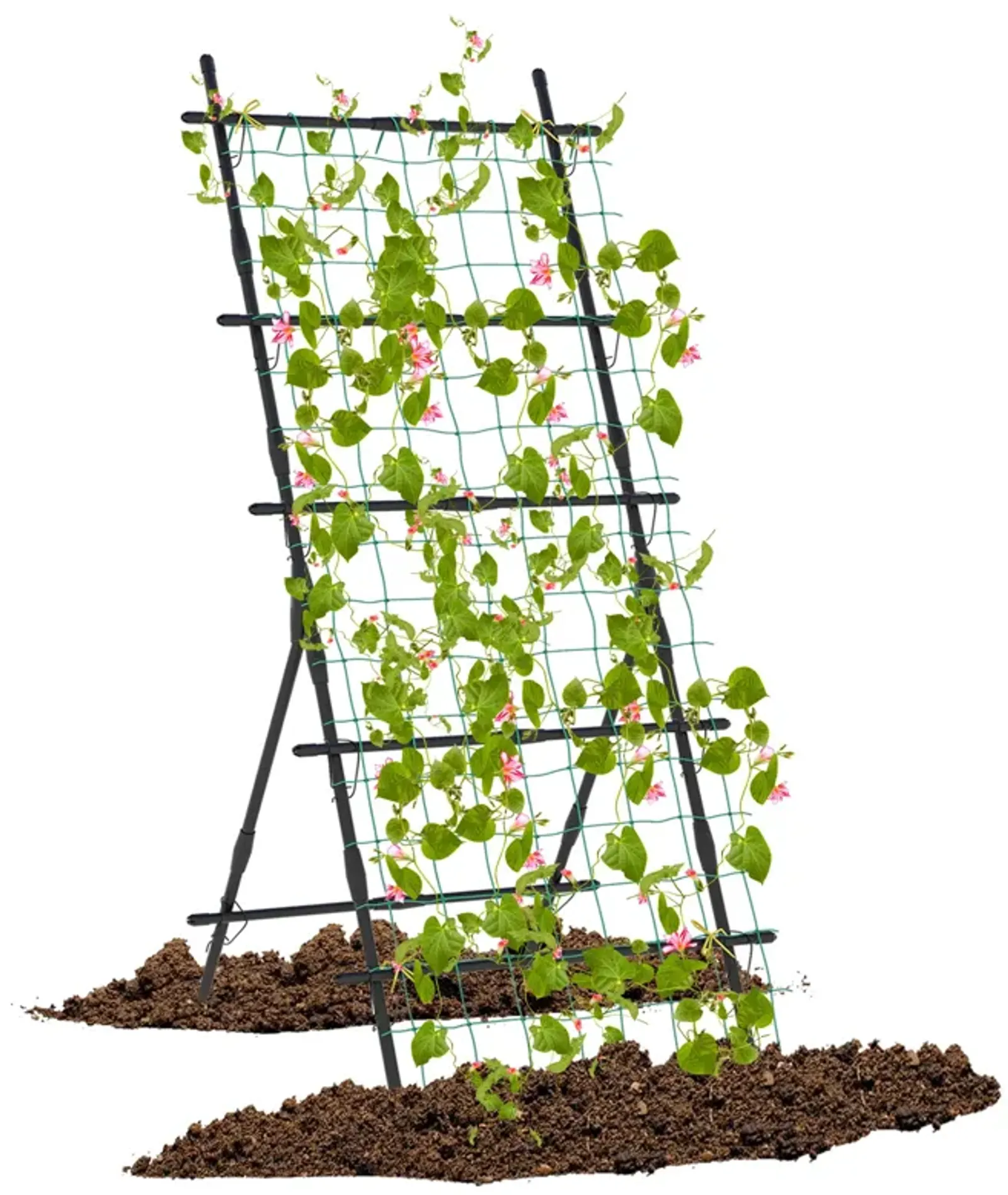 74 Inch Tall Garden Trellis for Flower Vine Vegetable Fruit Pea-Black