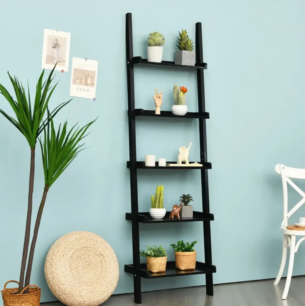 5-Tier Wall-leaning Ladder Shelf  Display Rack for Plants and Books