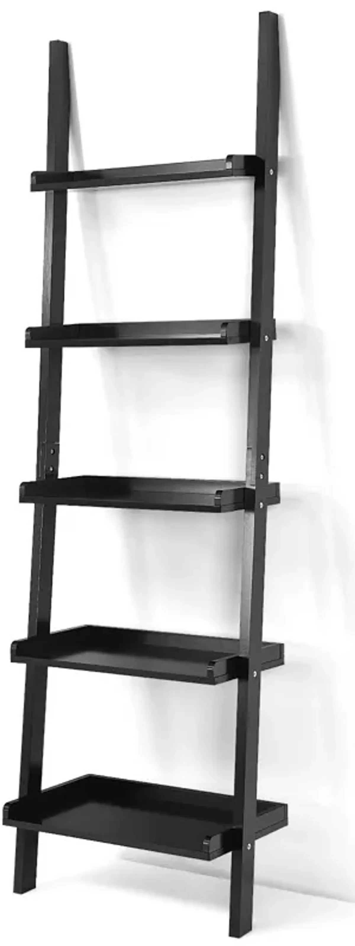 5-Tier Wall-leaning Ladder Shelf  Display Rack for Plants and Books