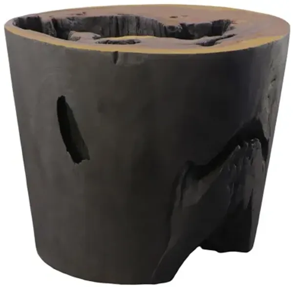 Chamcha Wood Side Table