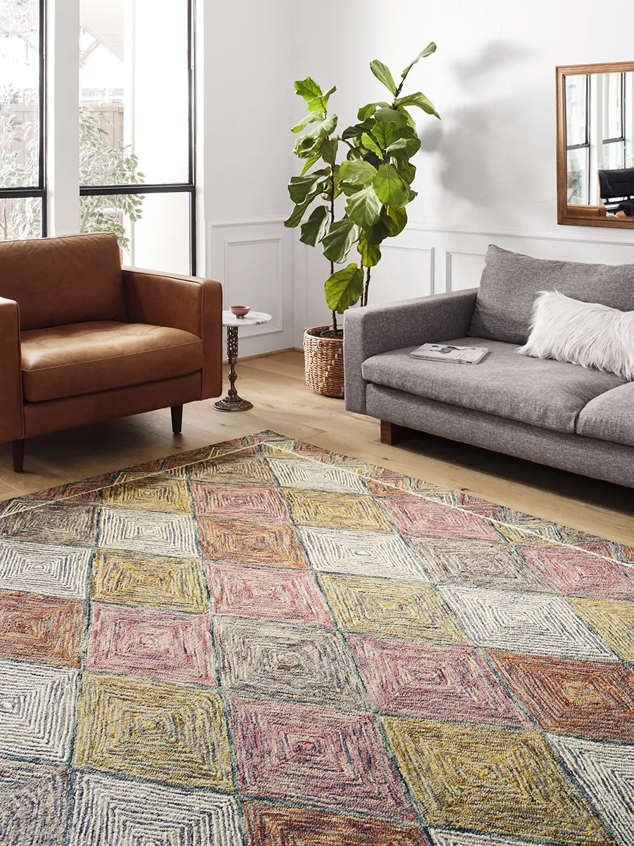 Spectrum SPE02 2'" x 5'" Rug