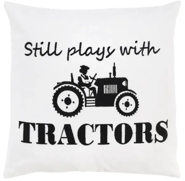 20" x 20" Down Filled Pillow