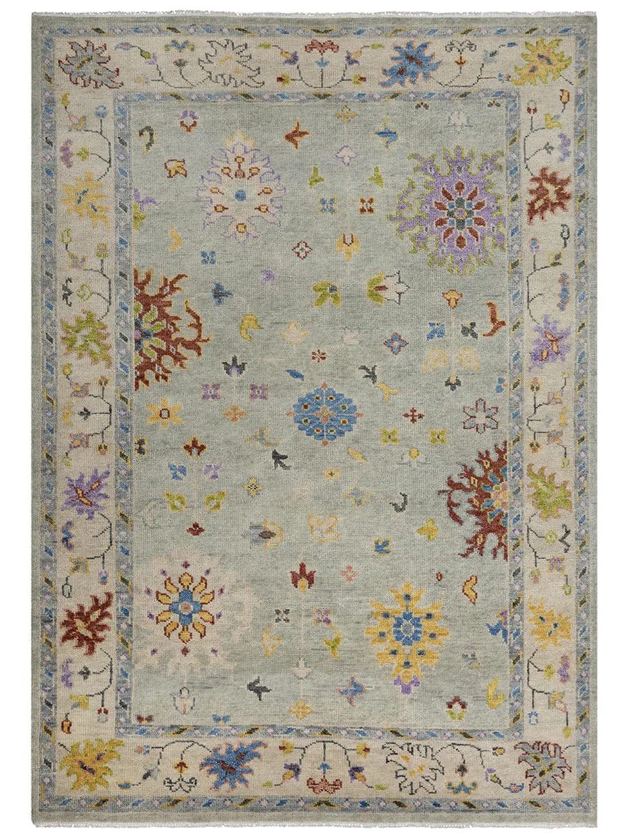 Envision ENV995 2' x 3' Rug