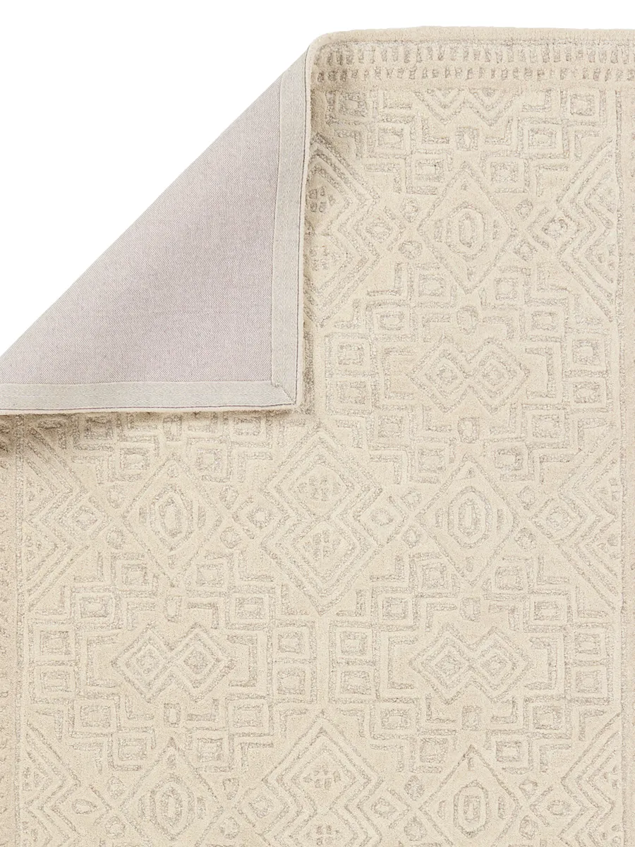 Farryn Ecco Tan/Taupe 5' x 8' Rug