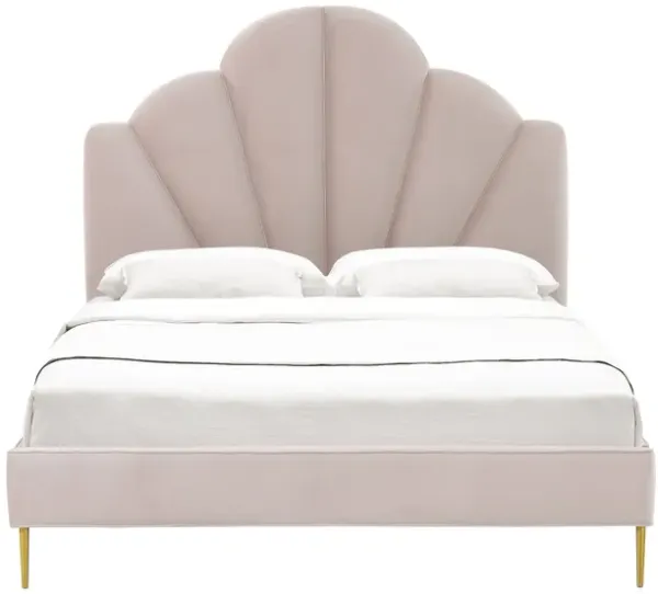 Bianca Black Velvet Bed in Queen