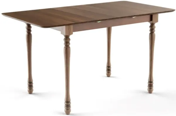 Rectangle Extension Dining Table with Hardwood Structure