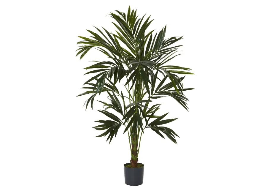 HomPlanti 6 Feet Kentia Silk Tree