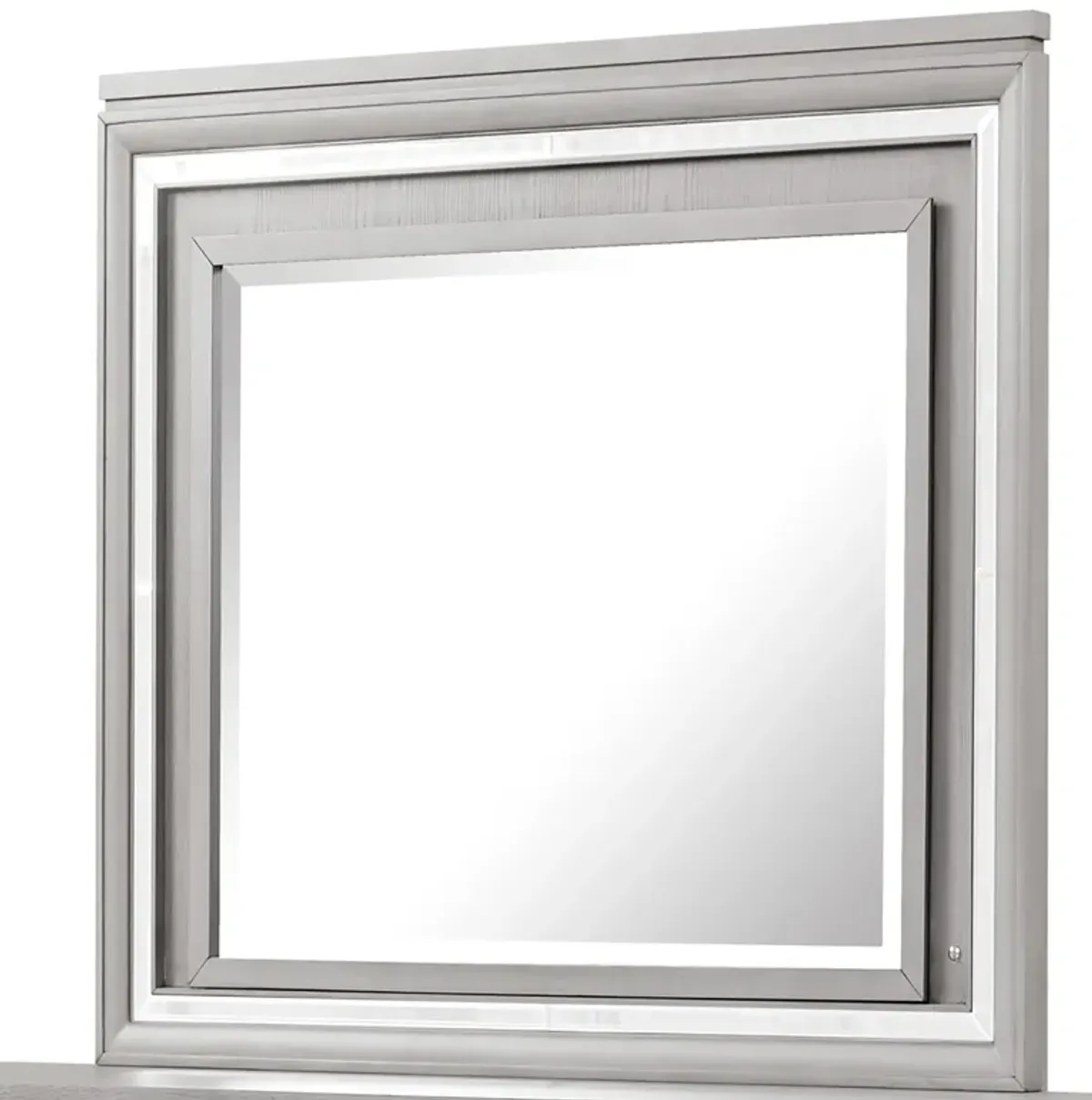 Padua 49 in. W x 40 in. H Rectangle Framed Washed Gray Dresser Mirror