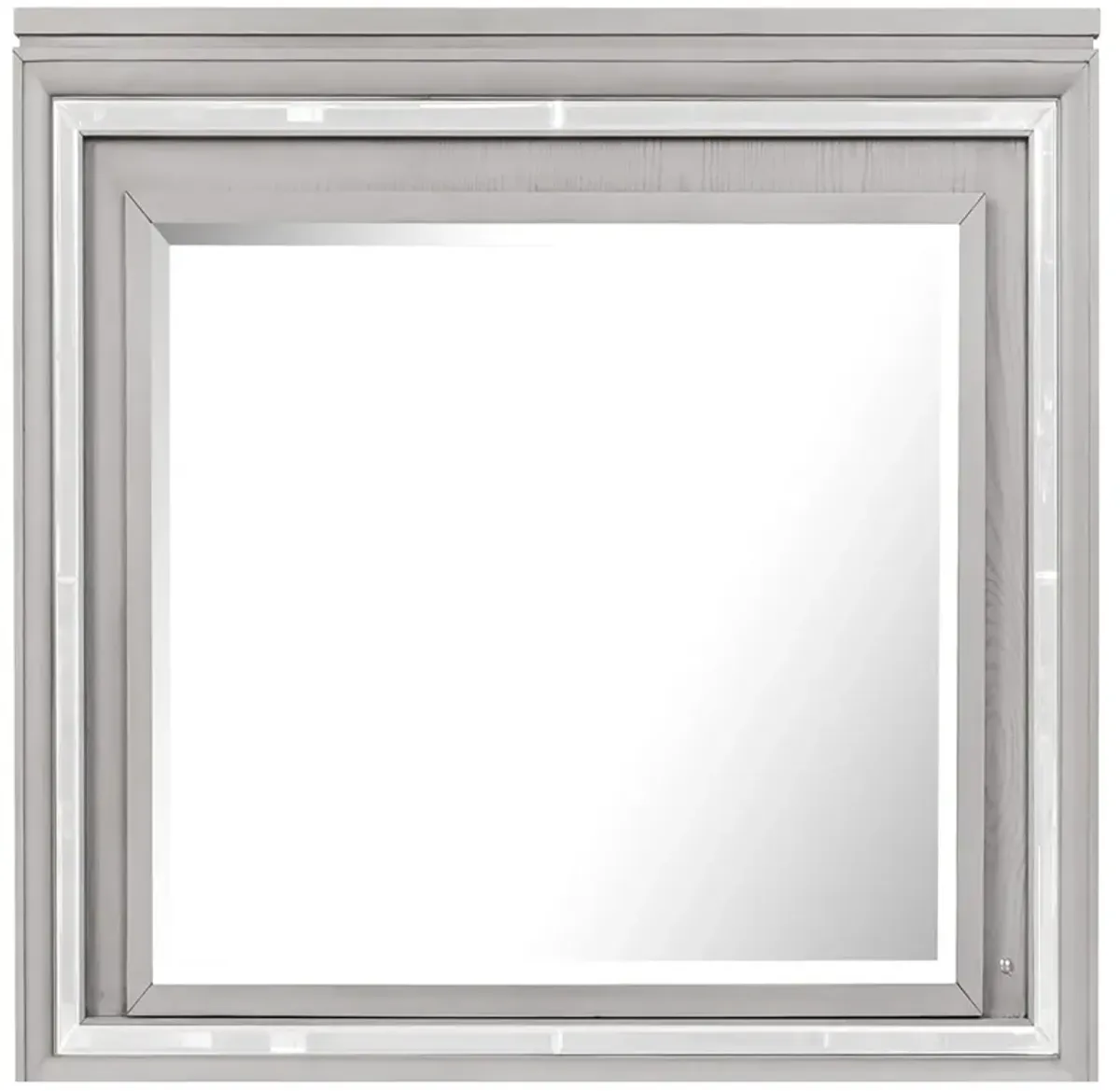 Padua 49 in. W x 40 in. H Rectangle Framed Washed Gray Dresser Mirror