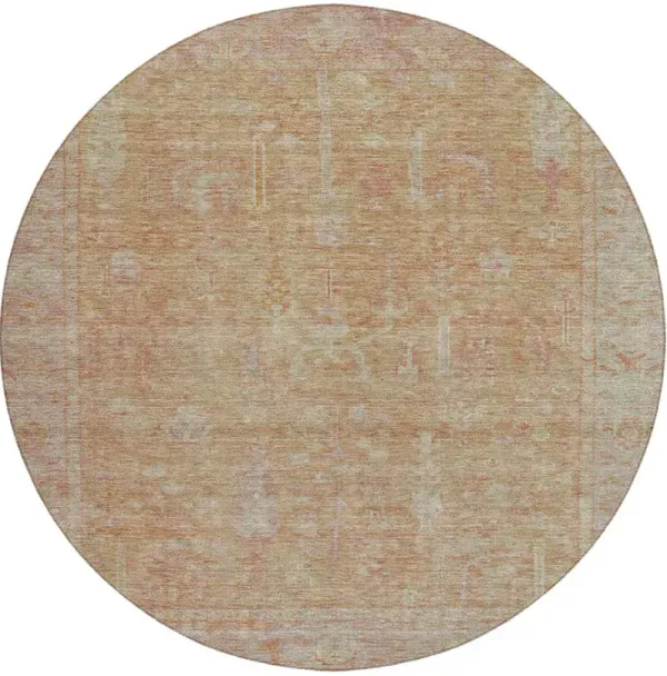 Solace SL11 Coral 8' Round Rug