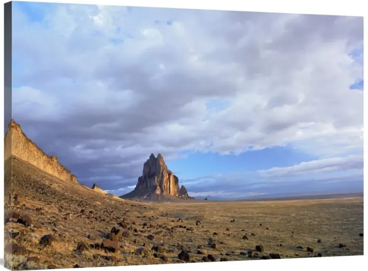 Shiprock, the basalt core of an extinct volcano, New Mexico-Canvas Art-40x30