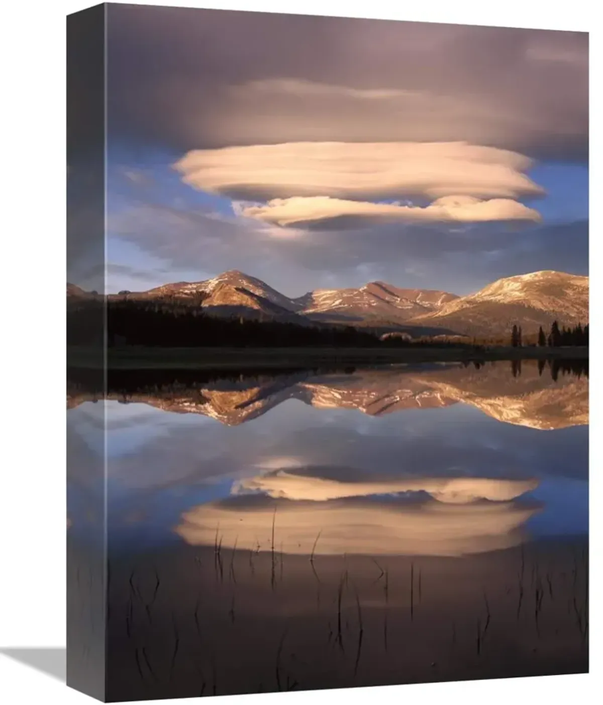 Lenticular clouds over Mt Dana, Mt Gibbs and Mammoth Peak reflected in flooded Tuolumne Meadows, Yosemite National Park, California-Canvas Art-12x16