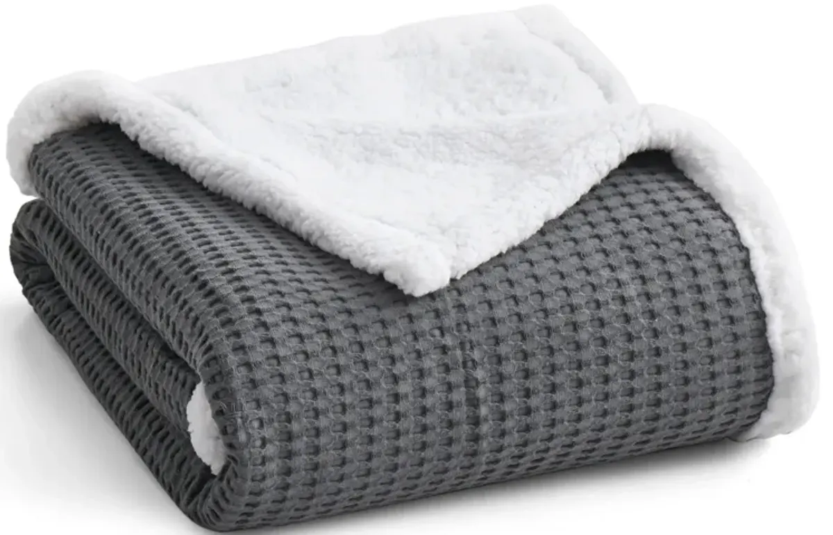 Mills Waffle Sherpa Throw Blanket - Levtex Home